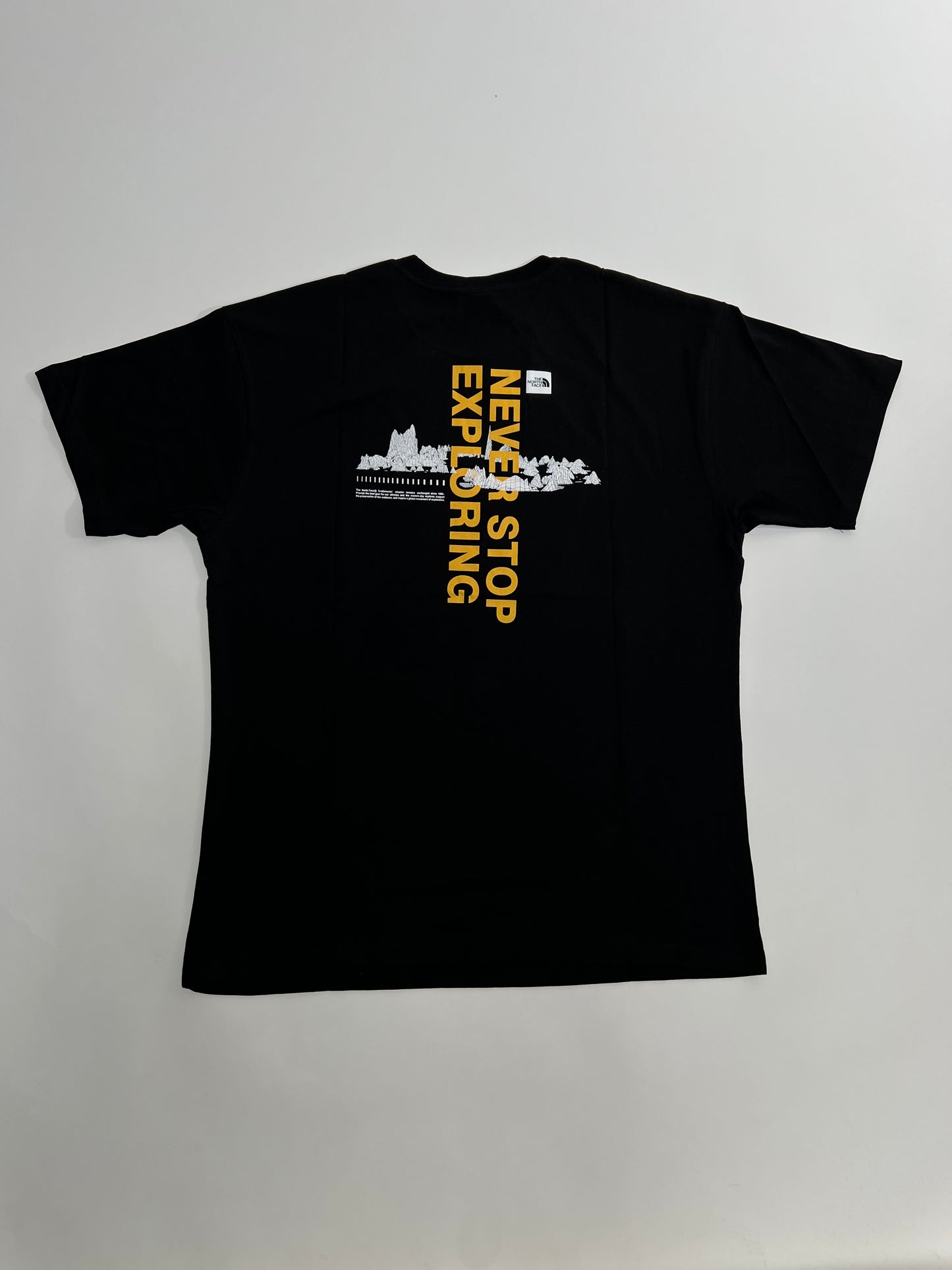 The North Face Crna Majica Never Stop Exploring Print na Leðima