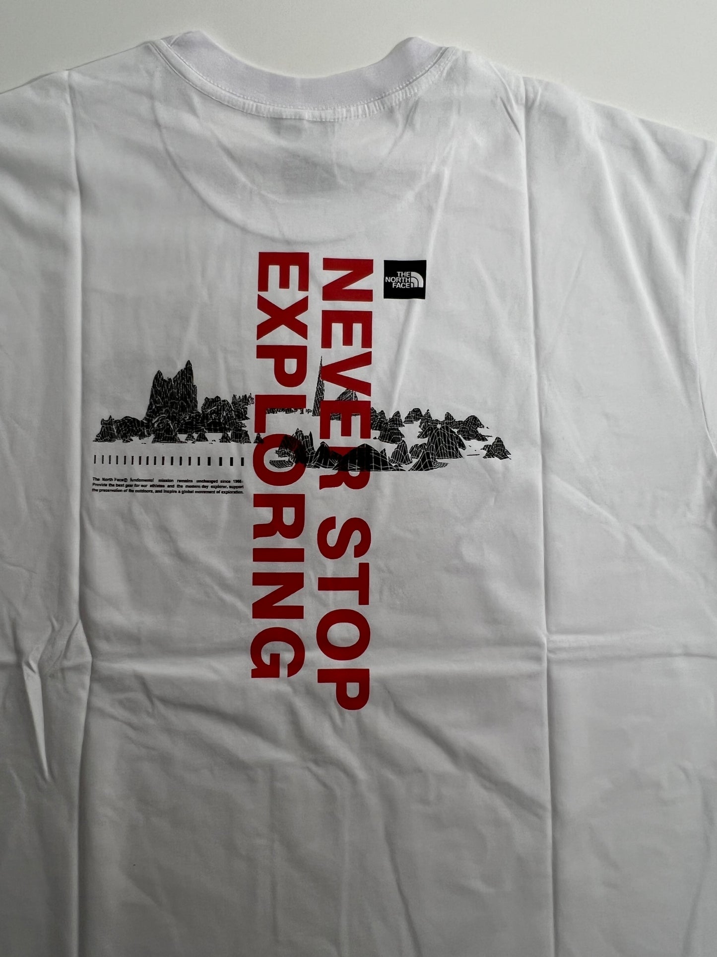 The North Face Bela Majica Never Stop Exploring Print na Laðima
